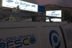 Insegne Luminose Pesco